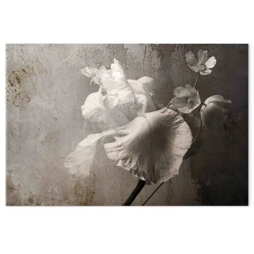  Slika - Venetian Splendor (1 Part) Wide 60x40 Slike