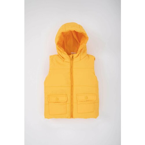 Defacto Baby Boy Hooded Vest Cene