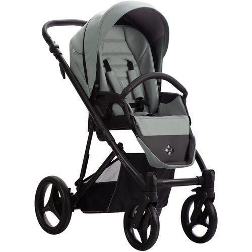 Bebetto flavio pro kolica za bebe set 2U1 09 Cene