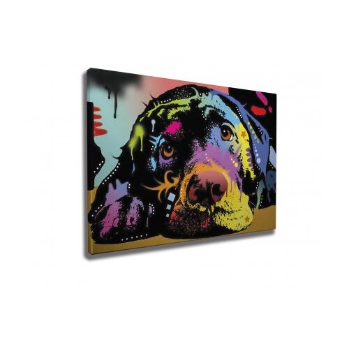 Wallxpert WY164 Dekorativna slika, 50 x 70 cm Slike