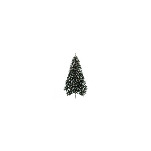 Novogodišnja jelka Tirol pine 240 cm KFB064 Slike
