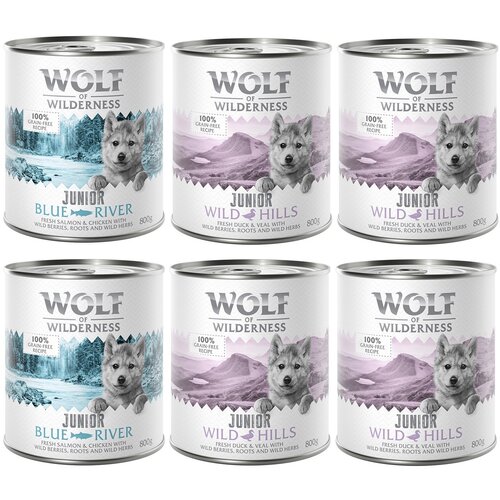 Wolf of Wilderness - mješovito pakiranje - 6 x 800 g Junior miks: 4x pačetina i teletina, 2x piletina i losos Cijene