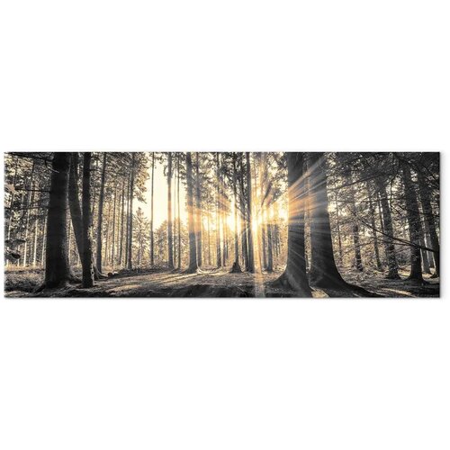  Slika - Forest Sun 135x45 Premium Print Slike