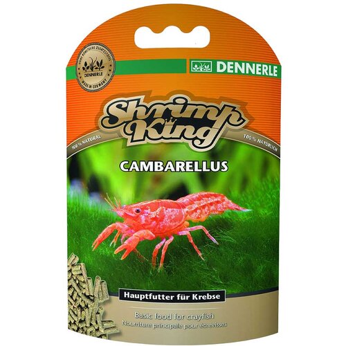 Dennerle shrimp king cambarellus Cene