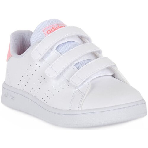 Adidas Nizke superge ADVANTAGE CF C Bela Cene