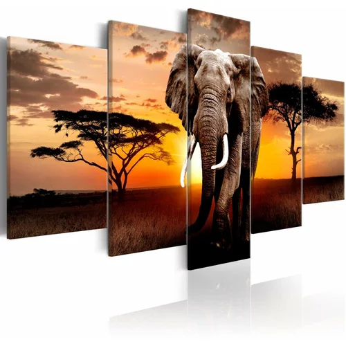  Slika - Elephant Migration 100x50