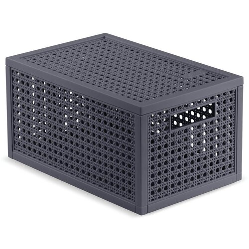 Curver Tamno siva kutija za pohranu s poklopcem od reciklirane plastike 19x30x15 cm Kaya &ndash; Cijene