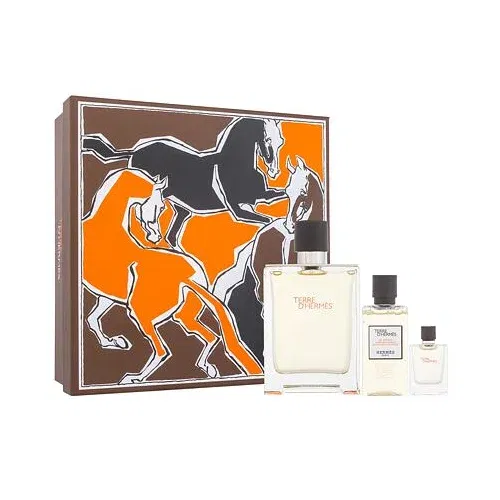 Hermes Terre d´Hermès darilni set toaletna voda 100 ml + toaletna voda 5 ml + gel za prhanje 40 ml za moške