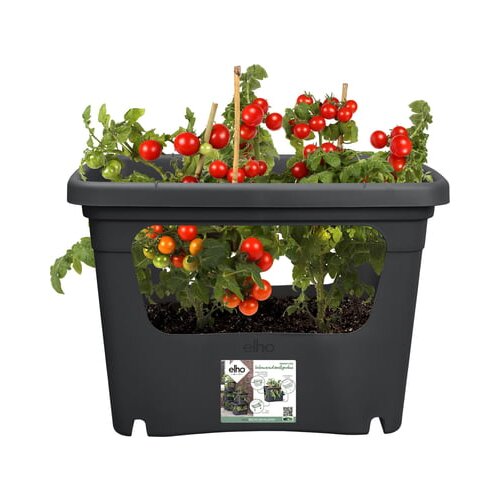 ELHO green basics Stack &amp;amp; Grow large - Črna Slike