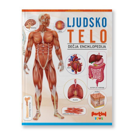  Ljudsko telo dečija enciklopedija ( 1000063 ) Cene