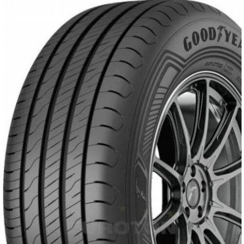 Goodyear Letna pnevmatika Goodyear 205/55R17 95V XL EFFICIENTGRIP PERFORMANCE 2 Cene