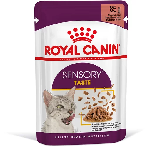 Royal Canin Sensory Taste u umaku - 12 x 85 g