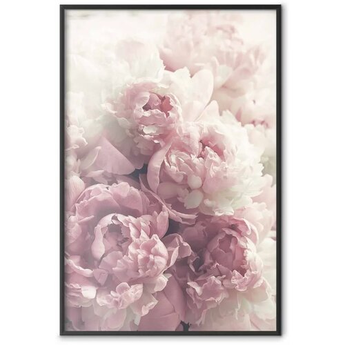  Plakat Delicate Peonies 29.7x42 Crni okvir Slike