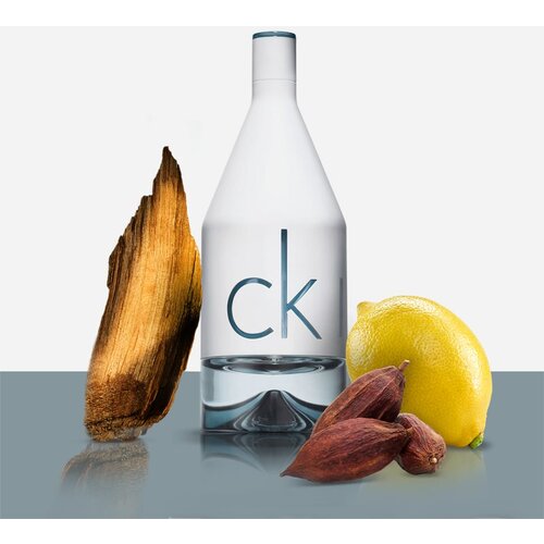 Calvin Klein CK IN2U toaletna voda za moške 50 ml Cene