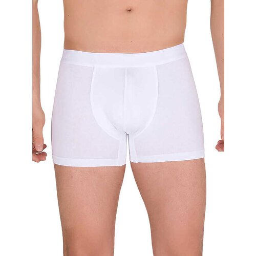 BERRAK Boxer shorts-BR-BK-4476.28P-white Cene