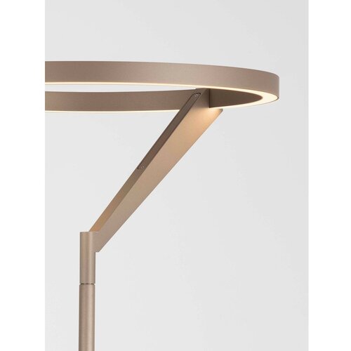 Nova Luce LED stojeća svjetiljka aluminijska s mogućnosti zatamnjivanja ružičasto zlatna (visina 168 cm) Tilia &amp;ndash; Slike