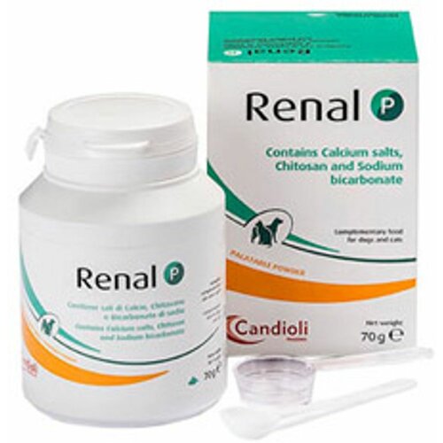 Candioli Pharma Candioli Renal P prah 240 g Slike