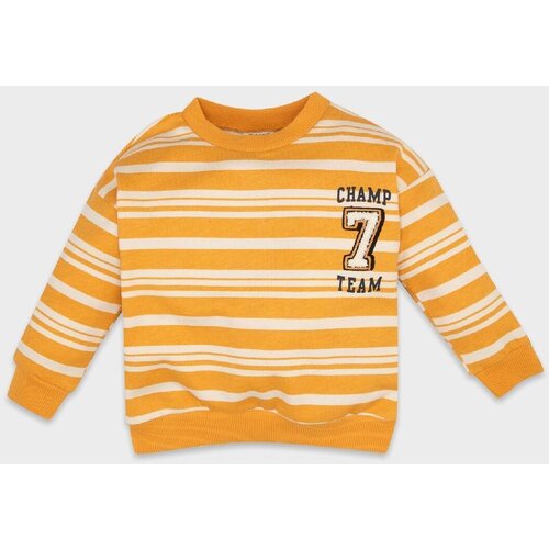 Defacto Baby Boy Orange Regular Fit Crew Neck Striped Soft Furry Thin Sweatshirt Slike