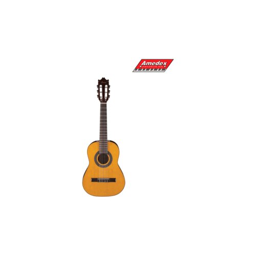  GITARA KL. IBANEZ GA1-OAM ½ Cijene