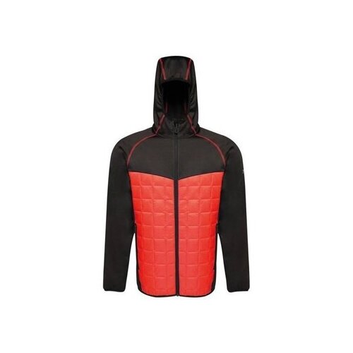 Regatta Jakne Modular Thermal pisana Cene