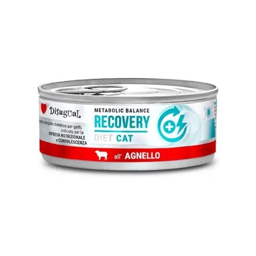Disugual Disigual veterinarska dijeta za mačke konzerva Recovery - Lamb 85g Cene