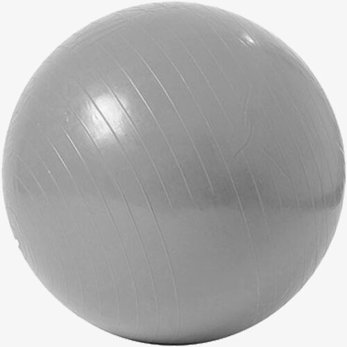 Capriolo Fitnes lopta Lopta za pilates 65cm Cijene