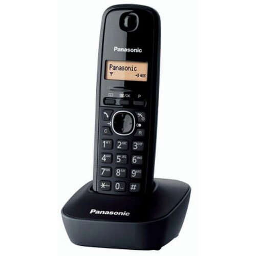 Panasonic Brezžični telefon KX-TG1611FRH, (5000532899) Slike