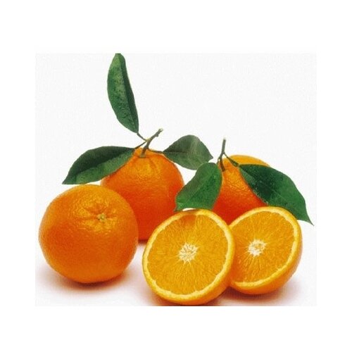 Nepoznato Pomorandža 1kg Cene