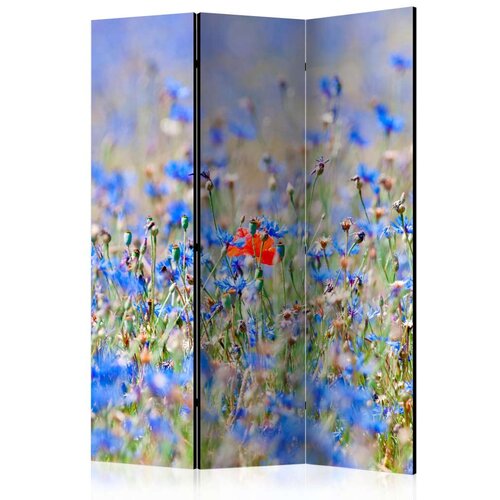  Paravan u 3 dijela - A sky-colored meadow - cornflowers [Room Dividers] 135x172 Cijene