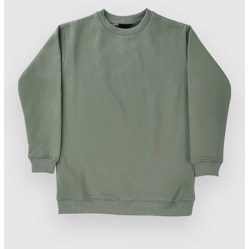 Blue Tomato Mini Logo Crew Kids Pulover sea moss Cene