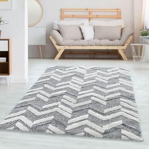 Conceptum Hypnose tepih Pisa 4705, 80 x 150 cm, siva Cijene