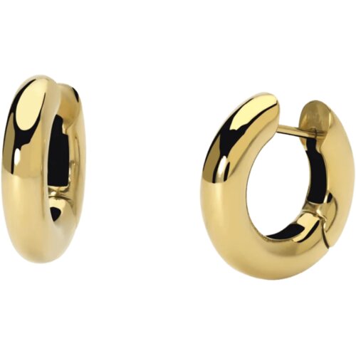 Nakit 2JEWELS NAUŠNICE 261399 Cene