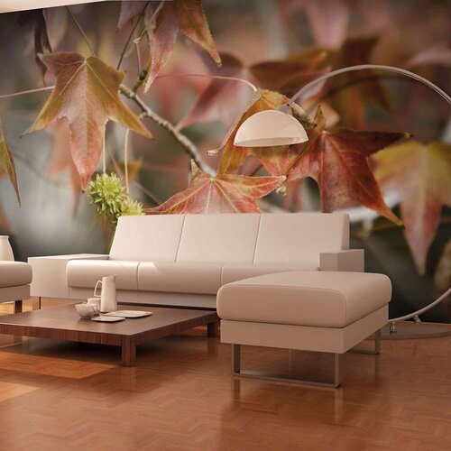  Tapeta - Chestnut 300x231 Slike