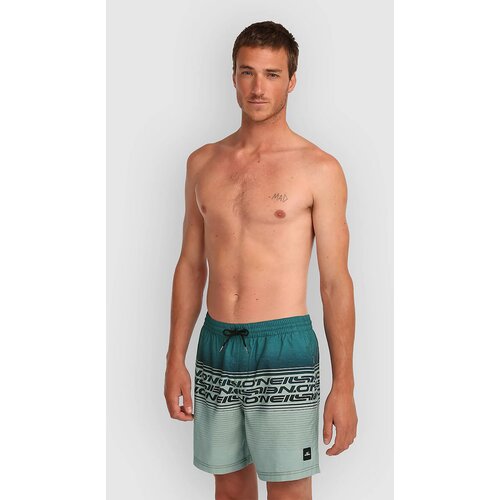 O'neill Logo Stripe 16'' Boardshorts green heritage stripe Cene