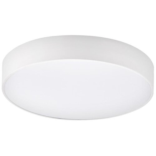 Top Light - LED kupatilsko plafonsko svetlo PETAL LED/24W/230V IP44 prečnik 35 cm bela Cene