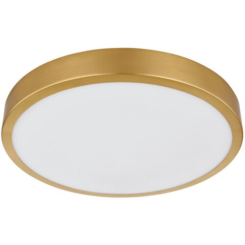 Lesnina XXXL stropna led-svetilka 25/3 cm Cene