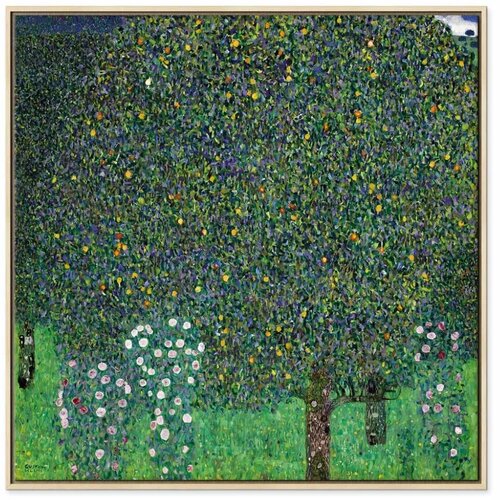  Slika - Gustav Klimt – Roses Among the Trees 60x60 U prirodnom drvenom okviru Cene