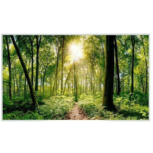  grijaća ploča M Forest (18 x 600 mm, 600 W) Slike