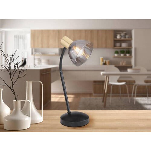 Globo stona lampa 54305T Slike
