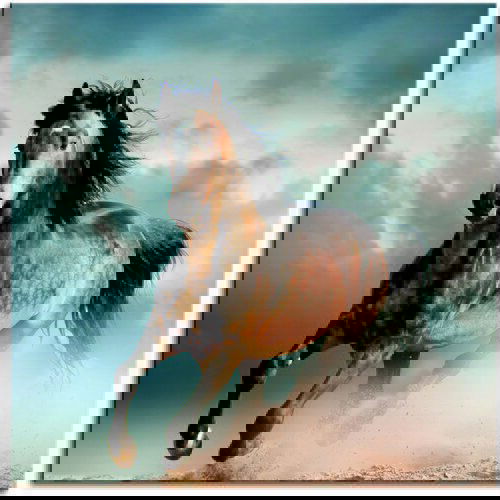 Pintdecor Zidni ukras Cavallo Cijene