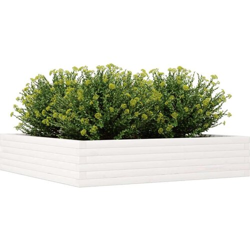  Vrtna sadilica bijela 110x110x23 cm od masivne borovine Slike