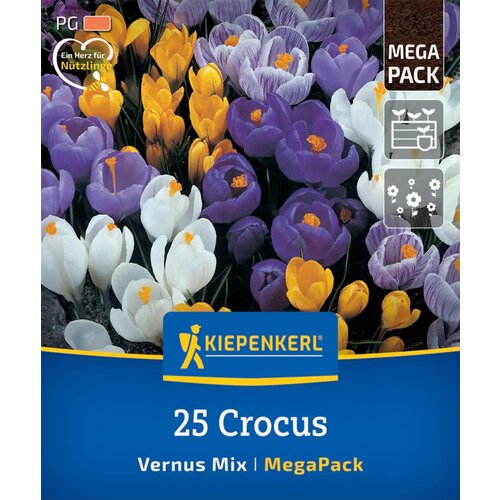 KIEPENKERL Mega pakiranje vrtnih žafranov &amp;quot;Vernus Mix&amp;quot; - 25 k. Slike