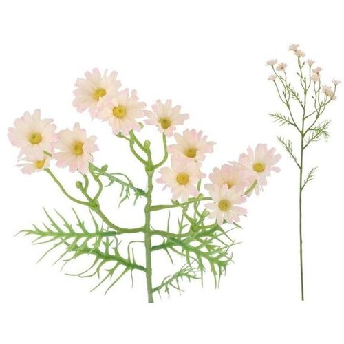  TRATINČICE 71CM ROZE PVC Cijene