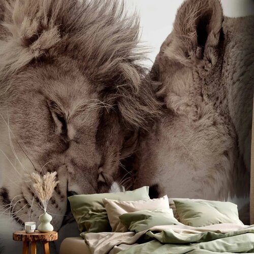  Foto tapeta - Lion Tenderness (Sepia) 245x175 Samoljepljiva Slike
