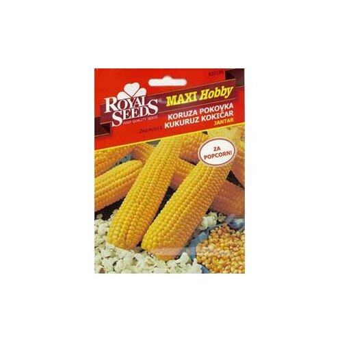  Kukuruz Kokičar 4 g Royal Seeds Cene