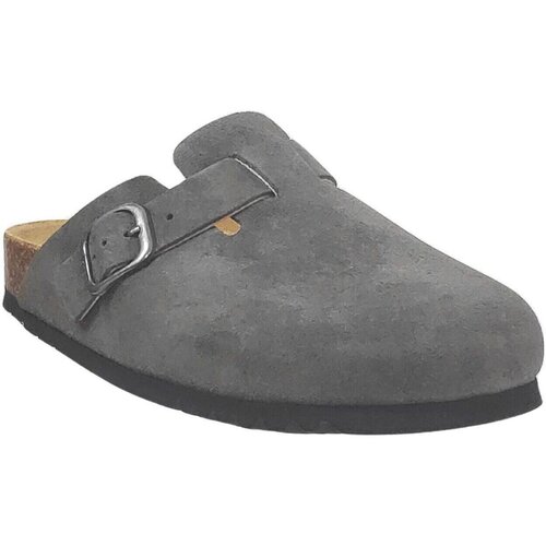 Scholl Cokli Fae new Siva Cene