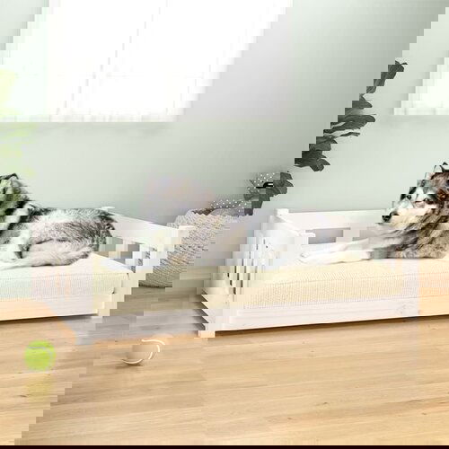 VidaXL Krevet za pse bijeli 105,5 x 75,5 x 28 cm od masivne borovine Slike