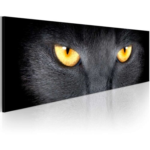 Slika - Look into my eyes... 135x45 Slike