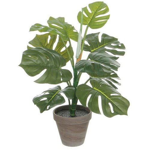  Umetna rastlina Monstera (Vi&scaron;ina: 48 cm, Zelena, Plastika) Cene