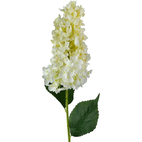 Mondex Cvetna veja plastika Viridis 80cm bela 1kos, (5000331111) Cene